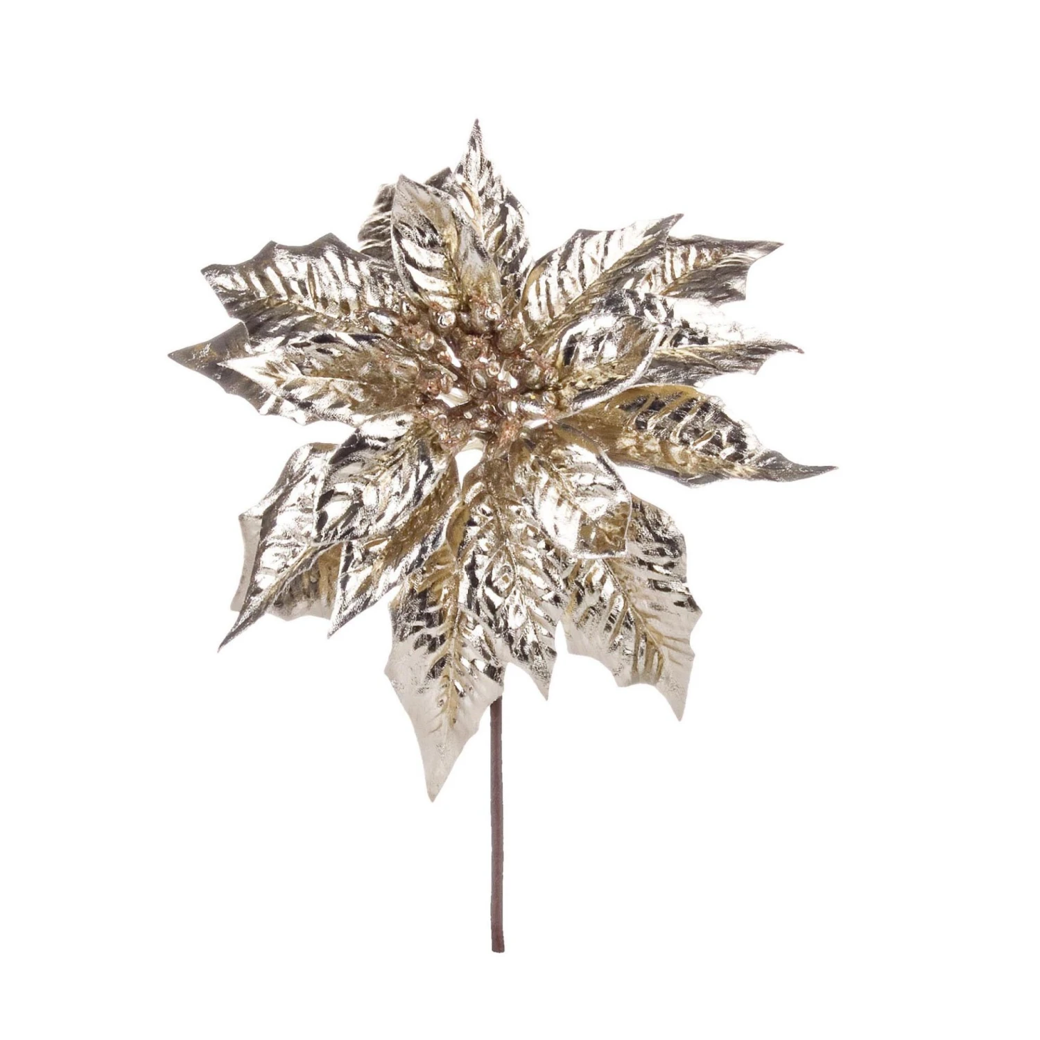 Pick Nature Poinsezia Champagne H=24cm 1 Pick Nature Poinsezia Champagne H=24cm