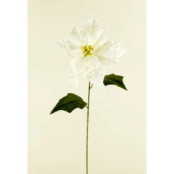 Stella Di Natale - 70cm