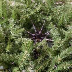 Albero Di Natale Grandis Fir Verde 180cm 5 Albero Di Natale Grandis Fir Verde 180cm -Negozio Di Decorazioni Natalizie 0022006 albero di natale grandis fir verde 180cm