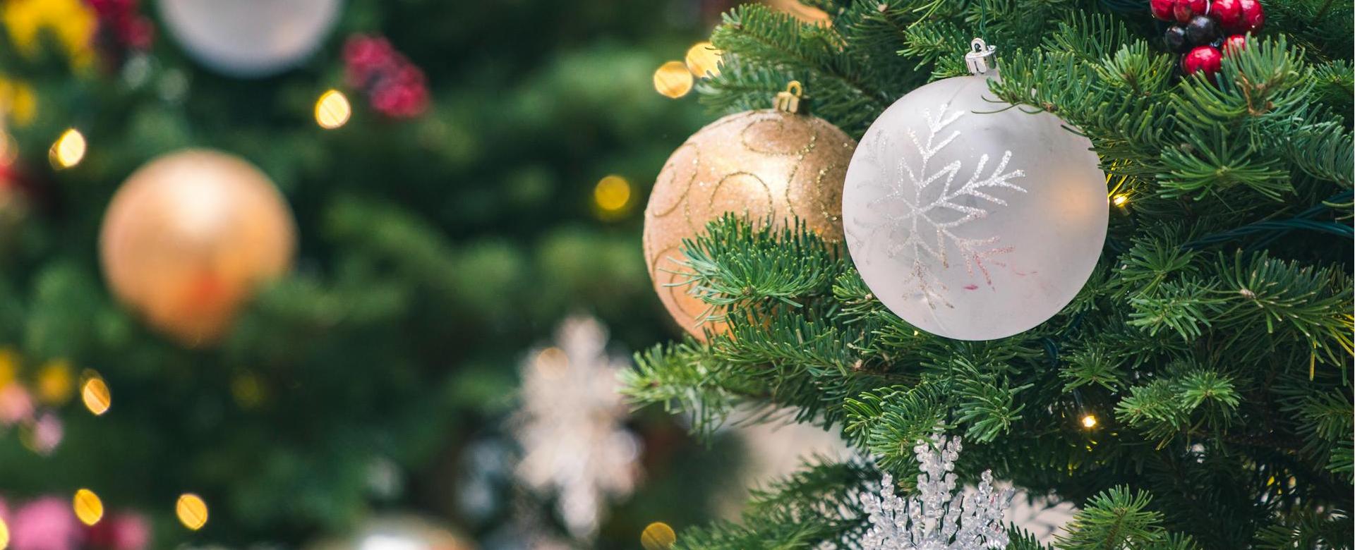 Negozio Di Decorazioni Natalizie -Negozio Di Decorazioni Natalizie pexels jimbear 1723679